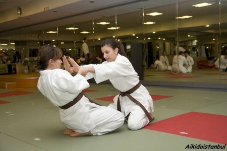 Zühtü Akıllı Aikido Okulları