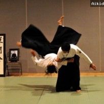 aikido-istanbul_2.jpg
