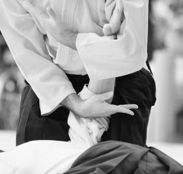 Aikido Teknikleri