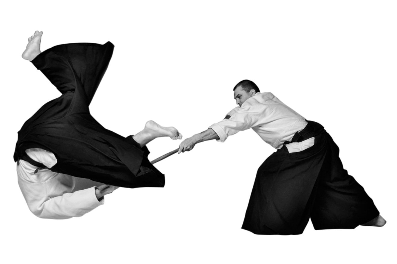 Yetişkin Aikido